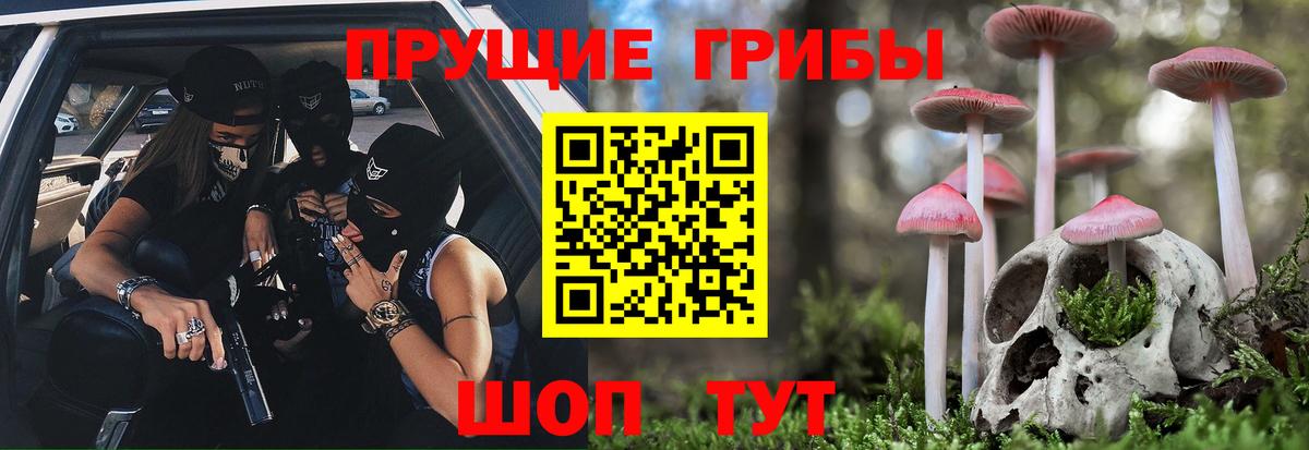 Галлюциногенные грибы Cubensis  Псилоцибиновые грибы мицелий  Вход с VPN  Майский 